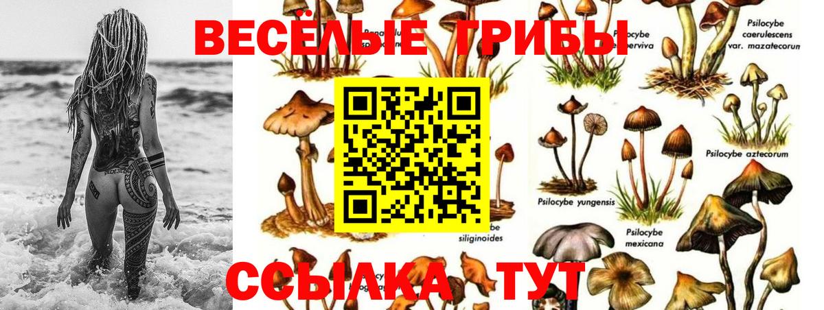 Галлюциногенные грибы GOLDEN TEACHER  Псилоцибиновые грибы Magic Shrooms  Воронеж  Вход с VPN 